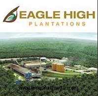 Gaji PT Eagle High Plantations Tbk