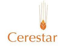 Gaji PT Cerestar Indonesia Tbk