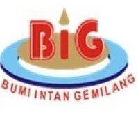 Gaji PT Bumi Intan Gemilang