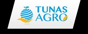 Gaji PT Tunas Agro Persada