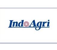 Gaji PT Indoagri Daitocacao