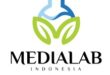 Gaji PT Medialab Indonesia