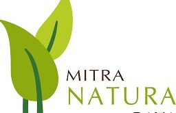 Gaji PT Mitra Natura Raya