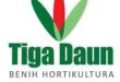 Gaji PT Tiga Daun