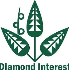 Gaji PT Diamond Interest Abadi Indonesia