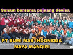 Gaji PT Indo Maya Mandiri 