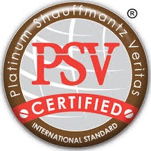 Gaji PT Psv Indonesia 