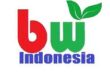 Gaji PT Borneo Wanajaya Indonesia