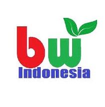 Gaji PT Borneo Wanajaya Indonesia